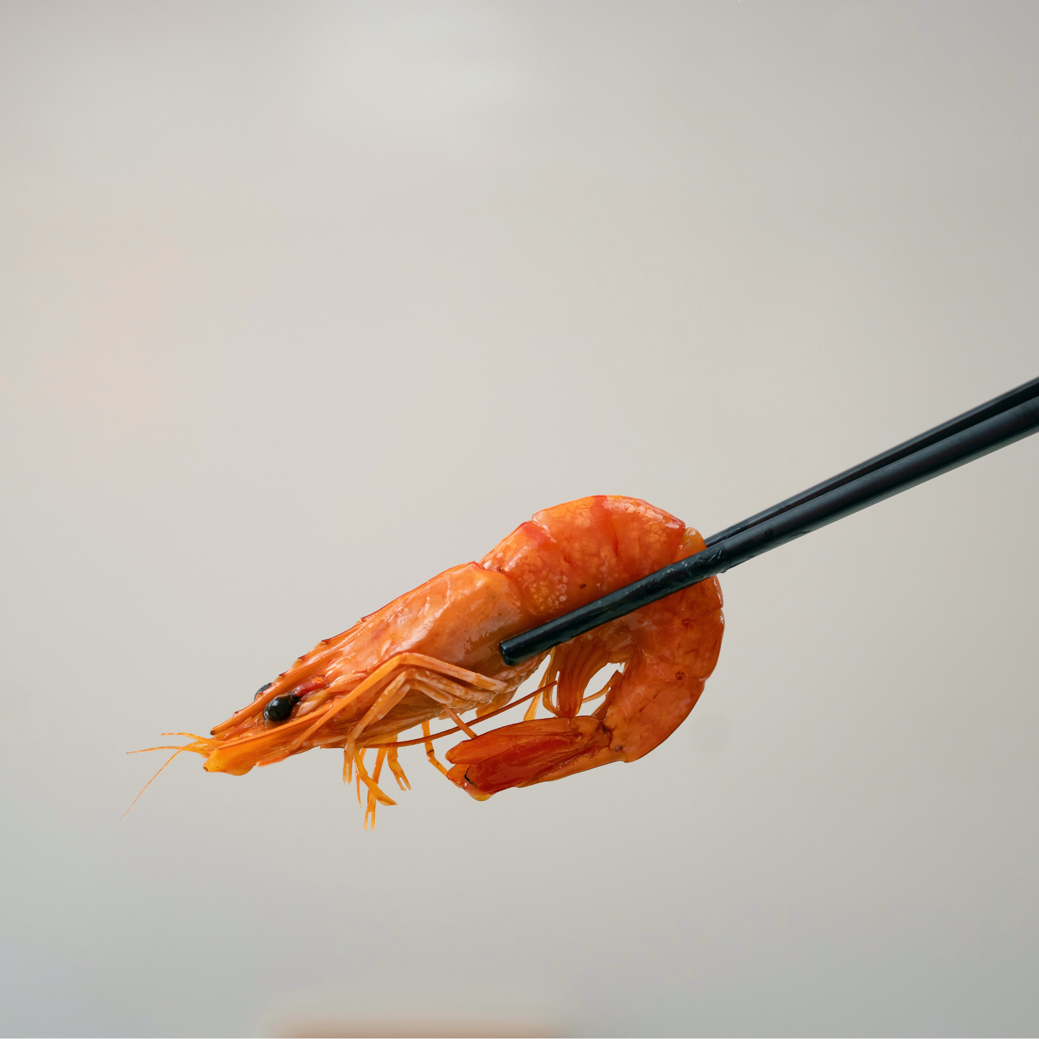 Poon Choy Bundle of 4